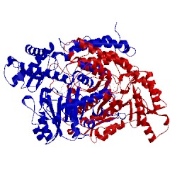 Image of CATH 2okj