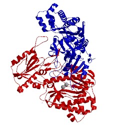 Image of CATH 2okn