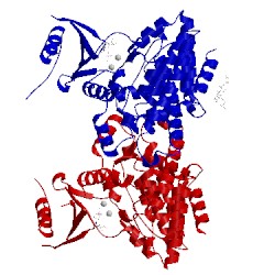 Image of CATH 2olc