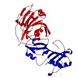 Image of CATH 2olw