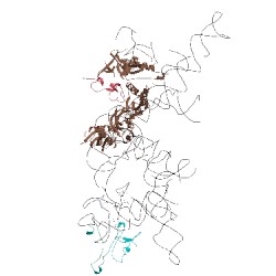 Image of CATH 2om7