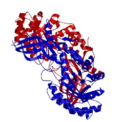 Image of CATH 2on3