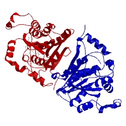 Image of CATH 2op0