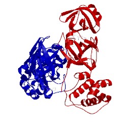Image of CATH 2op9