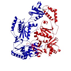 Image of CATH 2opp