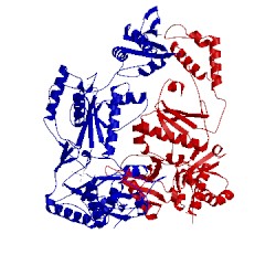 Image of CATH 2opq
