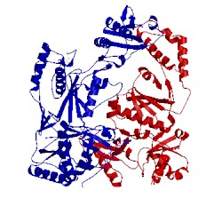 Image of CATH 2opr
