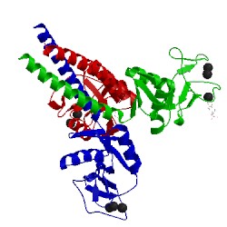 Image of CATH 2ork