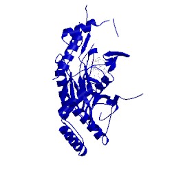 Image of CATH 2oro