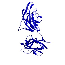 Image of CATH 2orx