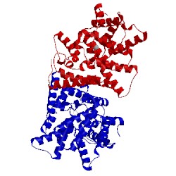 Image of CATH 2our