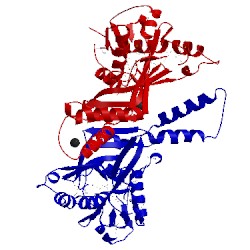 Image of CATH 2owl