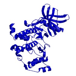 Image of CATH 2oxd