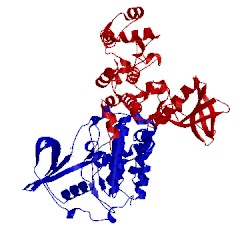 Image of CATH 2oxy