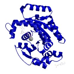 Image of CATH 2oze