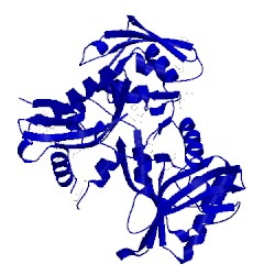 Image of CATH 2ozg