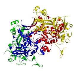 Image of CATH 2ozk