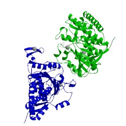 Image of CATH 2ozl