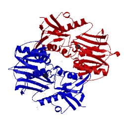 Image of CATH 2p0a