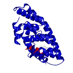 Image of CATH 2p1t