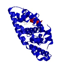 Image of CATH 2p1u