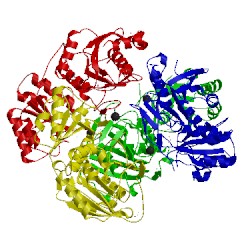 Image of CATH 2p2n