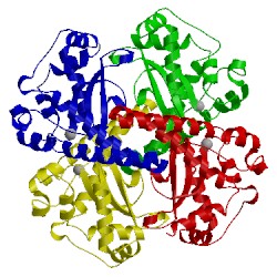 Image of CATH 2p4k