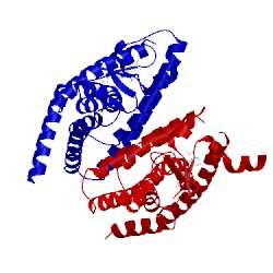 Image of CATH 2p4y