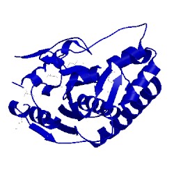 Image of CATH 2p5i