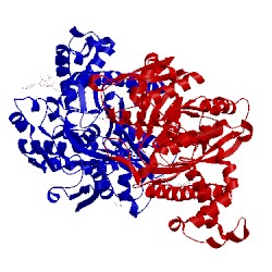 Image of CATH 2p8u