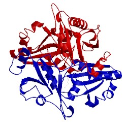 Image of CATH 2pb5