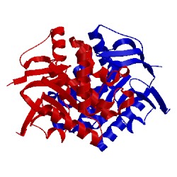 Image of CATH 2pcj