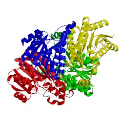 Image of CATH 2pd6