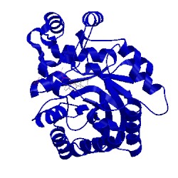 Image of CATH 2pdh