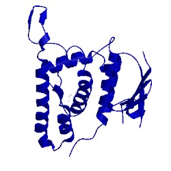 Image of CATH 2per