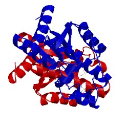 Image of CATH 2pez