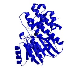 Image of CATH 2pfg