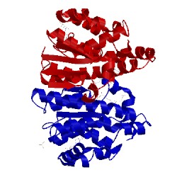 Image of CATH 2pgt