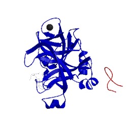 Image of CATH 2phb