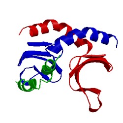Image of CATH 2phe