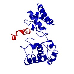 Image of CATH 2phg