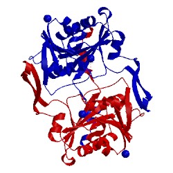 Image of CATH 2phj