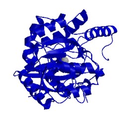 Image of CATH 2phm
