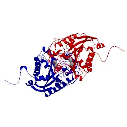 Image of CATH 2pho