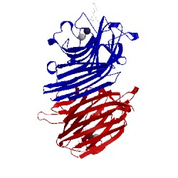 Image of CATH 2phr