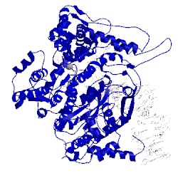 Image of CATH 2pi4