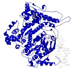 Image of CATH 2pi5