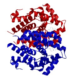 Image of CATH 2pjl