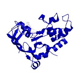 Image of CATH 2pmk