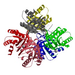 Image of CATH 2pmx